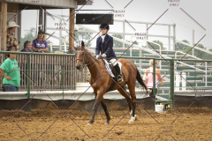 PCSC_061519_5877