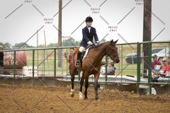 PCSC_061519_5903