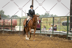 PCSC_061519_5911