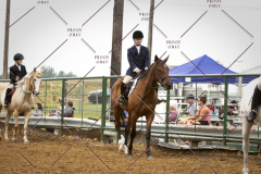 PCSC_061519_5921
