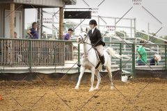 PCSC_061519_5947