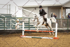 PCSC_061519_5949