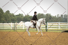 PCSC_061519_6018