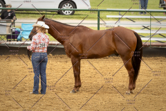 PCSC_061519_5082