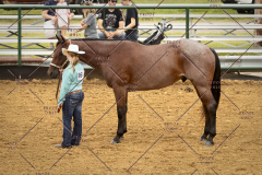 PCSC_061519_5083