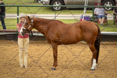 PCSC_061519_5087