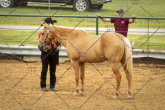 PCSC_061519_5090