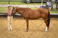 PCSC_061519_5094