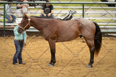 PCSC_061519_5096