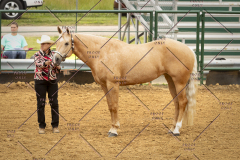 PCSC_061519_5097