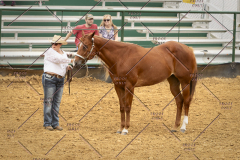PCSC_061519_5101