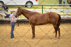 PCSC_061519_5111