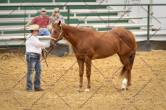 PCSC_061519_5112