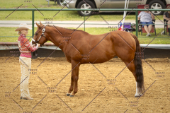 PCSC_061519_5114