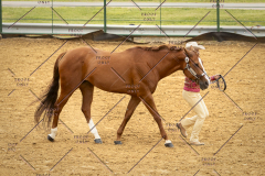 PCSC_061519_5152