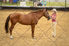 PCSC_061519_5155