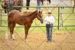 PCSC_061519_5156