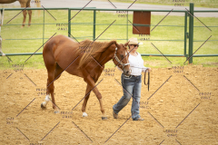 PCSC_061519_5158