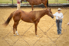 PCSC_061519_5164
