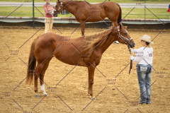 PCSC_061519_5166