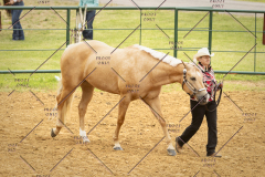 PCSC_061519_5172