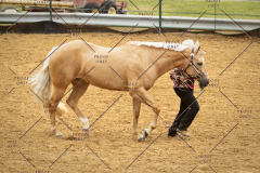 PCSC_061519_5177