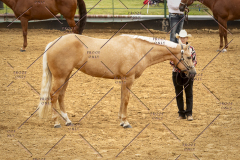 PCSC_061519_5183