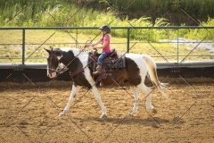 PCSC_061519_6505
