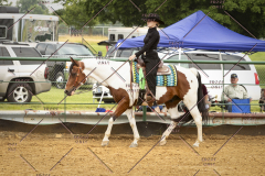 PCSC_061519_5429