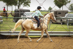 PCSC_061519_5511
