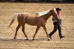 PCSC092119_3069