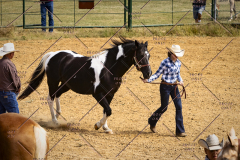 PCSC092119_3089