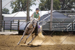 PCSCShow81625_1874