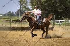 PCSCShow81625_1898