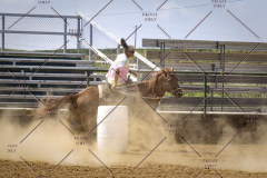 PCSCShow81625_1901