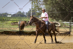 PCSCShow81625_1915