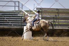PCSCShow81625_1951