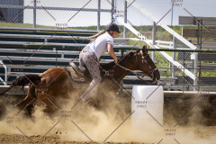 PCSCShow81625_1973