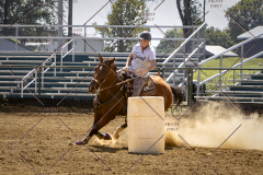 PCSCShow81625_1978