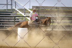 PCSCShow81625_1990