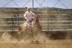 PCSCShow81625_1992