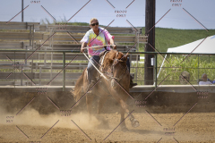 PCSCShow81625_1994