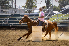 PCSCShow81625_1995