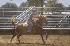PCSCShow81625_2013