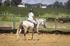 PCSCShow81625_0642