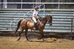 PCSCShow81625_0647