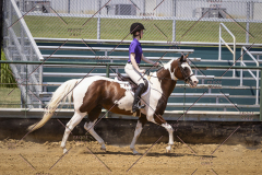 PCSCShow81625_0659