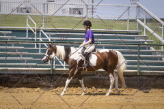 PCSCShow81625_0681