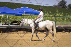 PCSCShow81625_0686