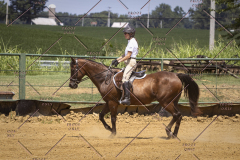 PCSCShow81625_0694